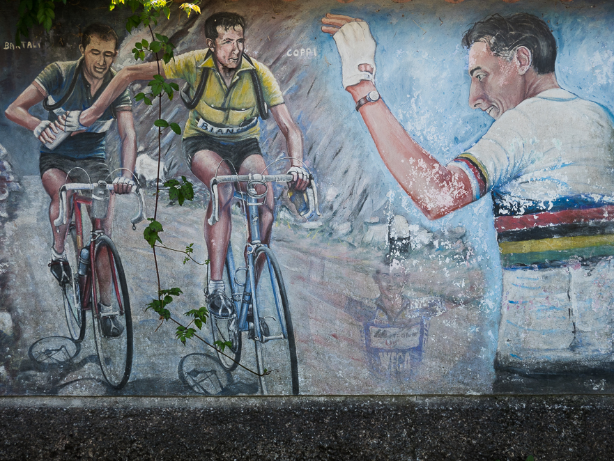 Nussbäume und Weingärten